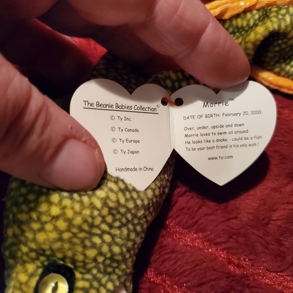 Ty Beanie baby MORRIE the Moray Eel - Picture 3 of 4